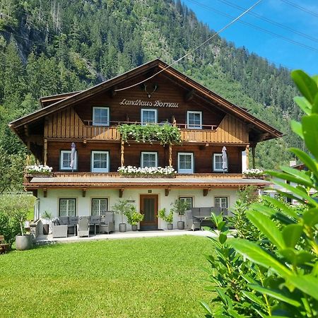 Landhaus Dornau Apartments Mayrhofen Eksteriør billede